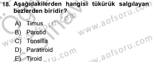 İnsan Beden Yapısı Ve Fizyolojisi Dersi 2016 - 2017 Yılı 3 Ders Sınav Soruları 18. Soru
