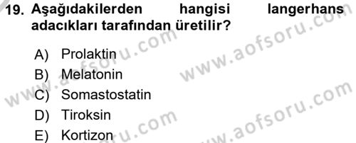 İnsan Beden Yapısı Ve Fizyolojisi Dersi 2016 - 2017 Yılı 3 Ders Sınav Soruları 19. Soru