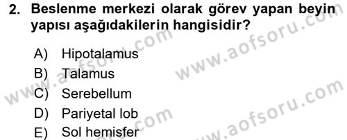 İnsan Beden Yapısı Ve Fizyolojisi Dersi 2016 - 2017 Yılı 3 Ders Sınav Soruları 2. Soru