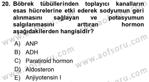 İnsan Beden Yapısı Ve Fizyolojisi Dersi 2016 - 2017 Yılı 3 Ders Sınav Soruları 20. Soru