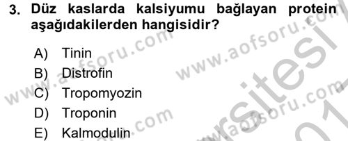İnsan Beden Yapısı Ve Fizyolojisi Dersi 2016 - 2017 Yılı 3 Ders Sınav Soruları 3. Soru