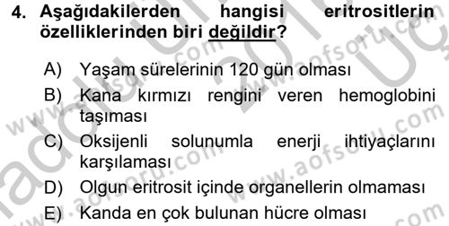 İnsan Beden Yapısı Ve Fizyolojisi Dersi 2016 - 2017 Yılı 3 Ders Sınav Soruları 4. Soru
