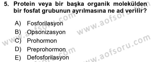 İnsan Beden Yapısı Ve Fizyolojisi Dersi 2016 - 2017 Yılı 3 Ders Sınav Soruları 5. Soru