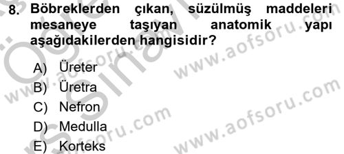İnsan Beden Yapısı Ve Fizyolojisi Dersi 2016 - 2017 Yılı 3 Ders Sınav Soruları 8. Soru