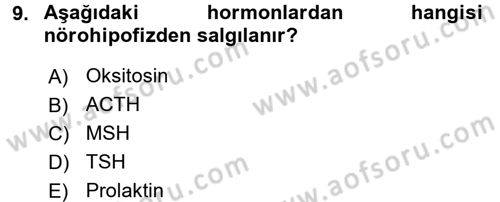 İnsan Beden Yapısı Ve Fizyolojisi Dersi 2016 - 2017 Yılı 3 Ders Sınav Soruları 9. Soru
