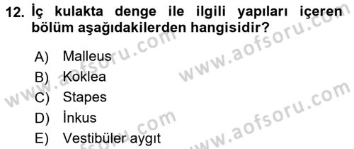 İnsan Beden Yapısı Ve Fizyolojisi Dersi 2016 - 2017 Yılı (Vize) Ara Sınav Soruları 12. Soru