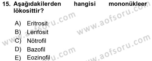 İnsan Beden Yapısı Ve Fizyolojisi Dersi 2016 - 2017 Yılı (Vize) Ara Sınav Soruları 15. Soru