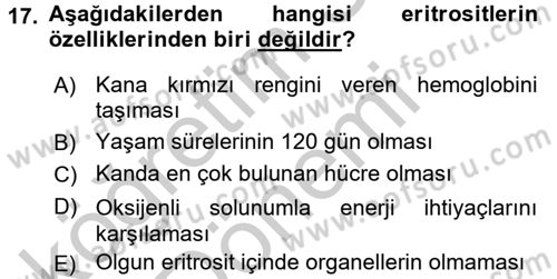 İnsan Beden Yapısı Ve Fizyolojisi Dersi 2016 - 2017 Yılı (Vize) Ara Sınav Soruları 17. Soru