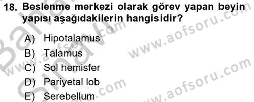 İnsan Beden Yapısı Ve Fizyolojisi Dersi 2016 - 2017 Yılı (Vize) Ara Sınav Soruları 18. Soru