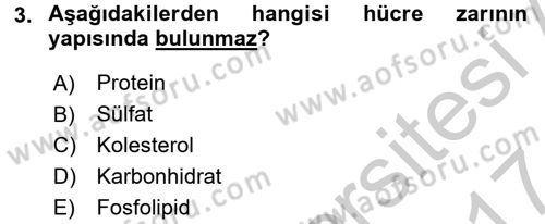 İnsan Beden Yapısı Ve Fizyolojisi Dersi 2016 - 2017 Yılı (Vize) Ara Sınav Soruları 3. Soru