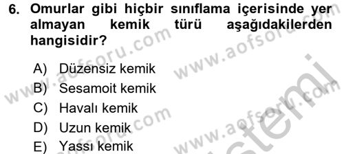 İnsan Beden Yapısı Ve Fizyolojisi Dersi 2016 - 2017 Yılı (Vize) Ara Sınav Soruları 6. Soru