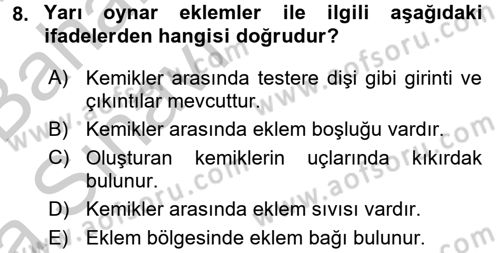 İnsan Beden Yapısı Ve Fizyolojisi Dersi 2016 - 2017 Yılı (Vize) Ara Sınav Soruları 8. Soru