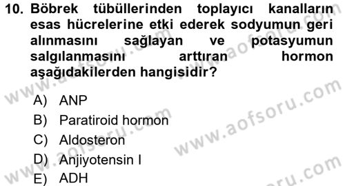 İnsan Beden Yapısı Ve Fizyolojisi Dersi 2017 - 2018 Yılı 3 Ders Sınav Soruları 10. Soru