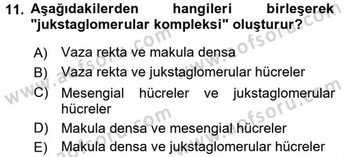 İnsan Beden Yapısı Ve Fizyolojisi Dersi 2017 - 2018 Yılı 3 Ders Sınav Soruları 11. Soru