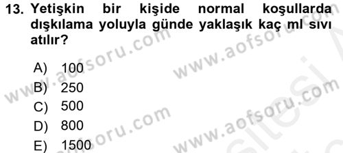 İnsan Beden Yapısı Ve Fizyolojisi Dersi 2017 - 2018 Yılı 3 Ders Sınav Soruları 13. Soru