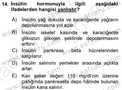 İnsan Beden Yapısı Ve Fizyolojisi Dersi 2017 - 2018 Yılı 3 Ders Sınav Soruları 14. Soru