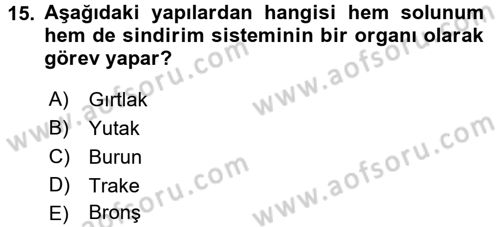 İnsan Beden Yapısı Ve Fizyolojisi Dersi 2017 - 2018 Yılı 3 Ders Sınav Soruları 15. Soru