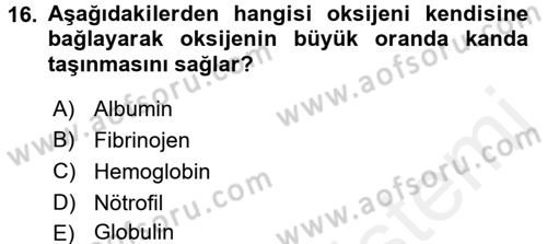 İnsan Beden Yapısı Ve Fizyolojisi Dersi 2017 - 2018 Yılı 3 Ders Sınav Soruları 16. Soru