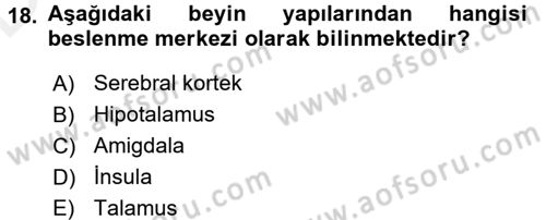 İnsan Beden Yapısı Ve Fizyolojisi Dersi 2017 - 2018 Yılı 3 Ders Sınav Soruları 18. Soru
