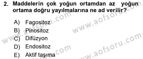 İnsan Beden Yapısı Ve Fizyolojisi Dersi 2017 - 2018 Yılı 3 Ders Sınav Soruları 2. Soru