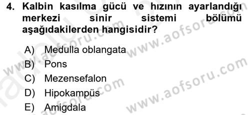 İnsan Beden Yapısı Ve Fizyolojisi Dersi 2017 - 2018 Yılı 3 Ders Sınav Soruları 4. Soru
