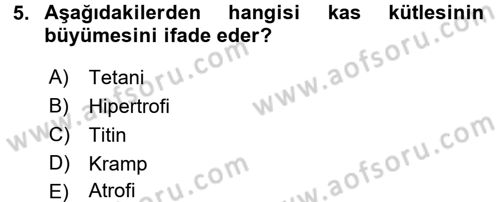 İnsan Beden Yapısı Ve Fizyolojisi Dersi 2017 - 2018 Yılı 3 Ders Sınav Soruları 5. Soru