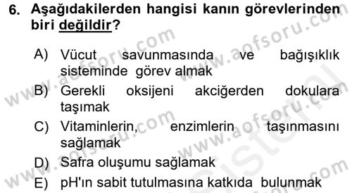 İnsan Beden Yapısı Ve Fizyolojisi Dersi 2017 - 2018 Yılı 3 Ders Sınav Soruları 6. Soru