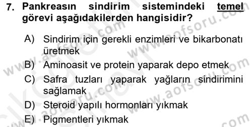 İnsan Beden Yapısı Ve Fizyolojisi Dersi 2017 - 2018 Yılı 3 Ders Sınav Soruları 7. Soru