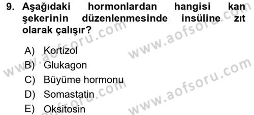 İnsan Beden Yapısı Ve Fizyolojisi Dersi 2017 - 2018 Yılı 3 Ders Sınav Soruları 9. Soru