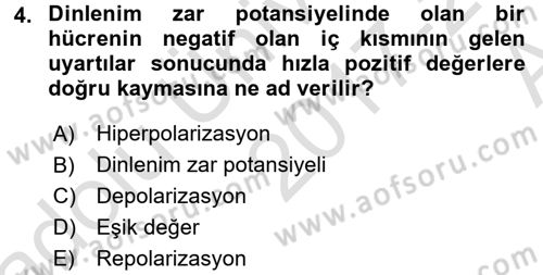 İnsan Beden Yapısı Ve Fizyolojisi Dersi 2017 - 2018 Yılı (Vize) Ara Sınav Soruları 4. Soru