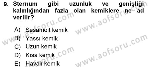 İnsan Beden Yapısı Ve Fizyolojisi Dersi 2017 - 2018 Yılı (Vize) Ara Sınav Soruları 9. Soru