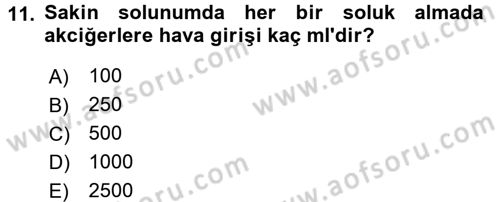 İnsan Beden Yapısı Ve Fizyolojisi Dersi 2017 - 2018 Yılı (Final) Dönem Sonu Sınav Soruları 11. Soru