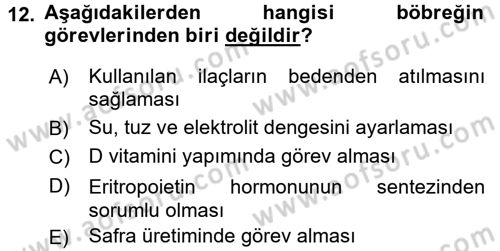 İnsan Beden Yapısı Ve Fizyolojisi Dersi 2017 - 2018 Yılı (Final) Dönem Sonu Sınav Soruları 12. Soru