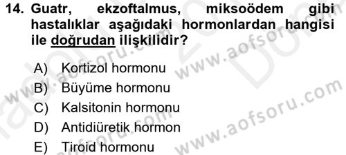 İnsan Beden Yapısı Ve Fizyolojisi Dersi 2017 - 2018 Yılı (Final) Dönem Sonu Sınav Soruları 14. Soru