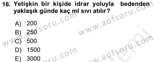İnsan Beden Yapısı Ve Fizyolojisi Dersi 2017 - 2018 Yılı (Final) Dönem Sonu Sınav Soruları 16. Soru