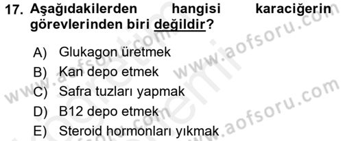 İnsan Beden Yapısı Ve Fizyolojisi Dersi 2017 - 2018 Yılı (Final) Dönem Sonu Sınav Soruları 17. Soru