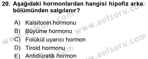 İnsan Beden Yapısı Ve Fizyolojisi Dersi 2017 - 2018 Yılı (Final) Dönem Sonu Sınav Soruları 20. Soru