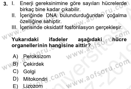 İnsan Beden Yapısı Ve Fizyolojisi Dersi 2017 - 2018 Yılı (Final) Dönem Sonu Sınav Soruları 3. Soru