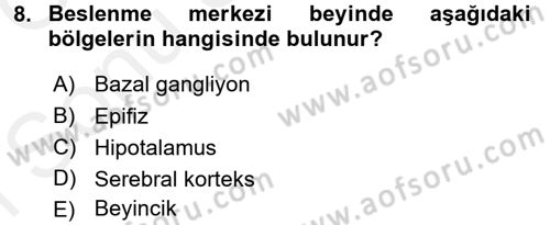 İnsan Beden Yapısı Ve Fizyolojisi Dersi 2017 - 2018 Yılı (Final) Dönem Sonu Sınav Soruları 8. Soru