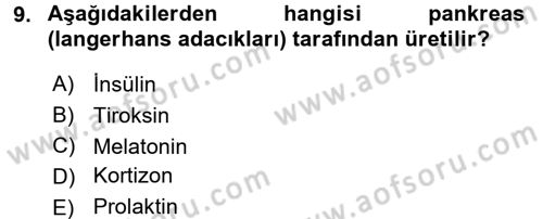 İnsan Beden Yapısı Ve Fizyolojisi Dersi 2017 - 2018 Yılı (Final) Dönem Sonu Sınav Soruları 9. Soru