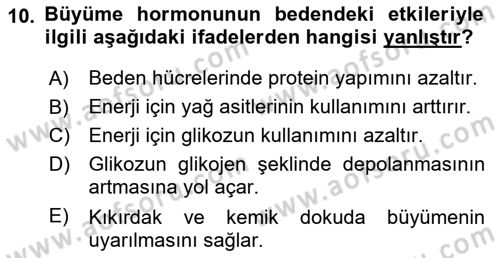 İnsan Beden Yapısı Ve Fizyolojisi Dersi 2018 - 2019 Yılı 3 Ders Sınav Soruları 10. Soru