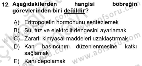 İnsan Beden Yapısı Ve Fizyolojisi Dersi 2018 - 2019 Yılı 3 Ders Sınav Soruları 12. Soru