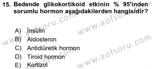 İnsan Beden Yapısı Ve Fizyolojisi Dersi 2018 - 2019 Yılı 3 Ders Sınav Soruları 15. Soru