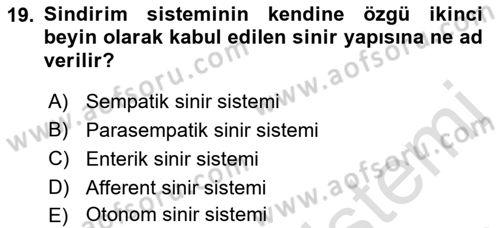 İnsan Beden Yapısı Ve Fizyolojisi Dersi 2018 - 2019 Yılı 3 Ders Sınav Soruları 19. Soru