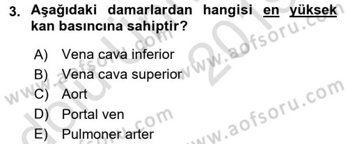 İnsan Beden Yapısı Ve Fizyolojisi Dersi 2018 - 2019 Yılı 3 Ders Sınav Soruları 3. Soru