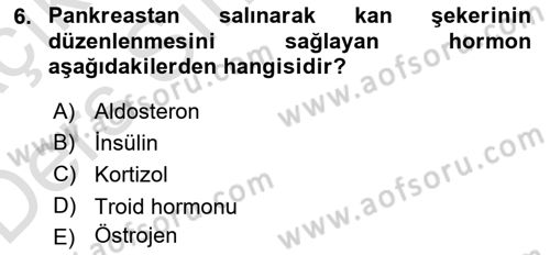 İnsan Beden Yapısı Ve Fizyolojisi Dersi 2018 - 2019 Yılı 3 Ders Sınav Soruları 6. Soru