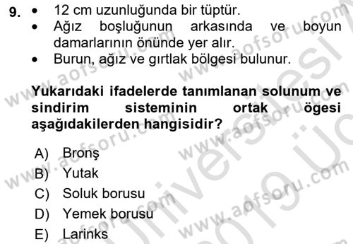 İnsan Beden Yapısı Ve Fizyolojisi Dersi 2018 - 2019 Yılı 3 Ders Sınav Soruları 9. Soru