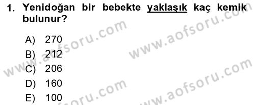 İnsan Beden Yapısı Ve Fizyolojisi Dersi 2018 - 2019 Yılı (Vize) Ara Sınav Soruları 1. Soru