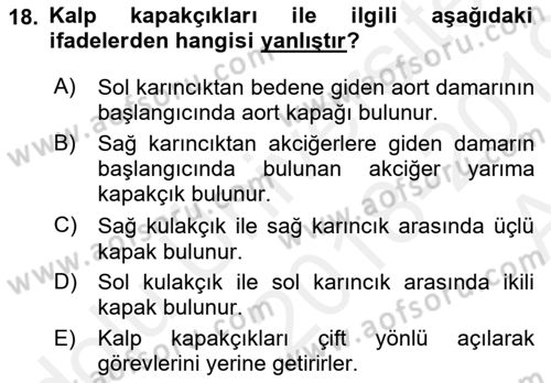İnsan Beden Yapısı Ve Fizyolojisi Dersi 2018 - 2019 Yılı (Vize) Ara Sınav Soruları 18. Soru