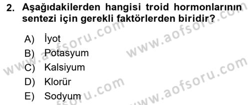 İnsan Beden Yapısı Ve Fizyolojisi Dersi Ara Sınavı Deneme Sınav Soruları 2. Soru